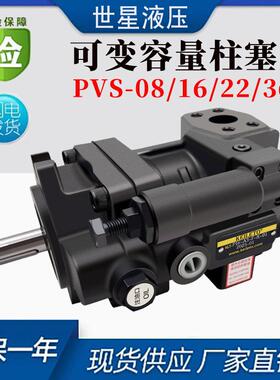 P16-A3-F-R-01旭宏款耐压强PVS喷涂机柱塞泵P22/P36/P46/P70