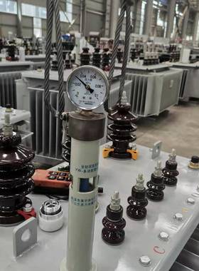 S13-M-315KVAW三相油浸式电力变器400KVA50K0VS13-315KA压630K800