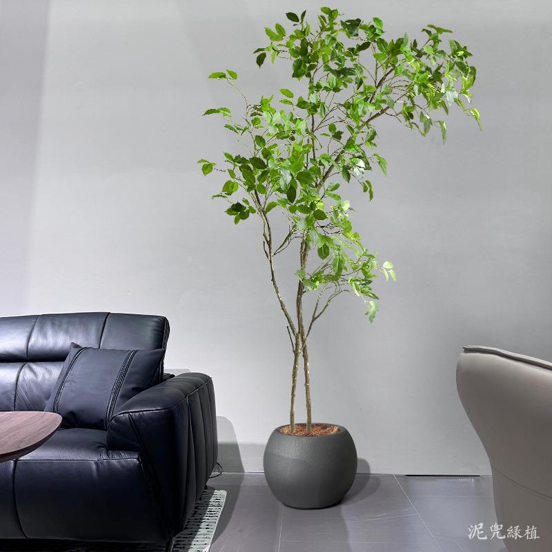 绿客厅盆栽仿真小叶榕树装饰假绿植仿真假树仿景观装DEJ饰真摆植