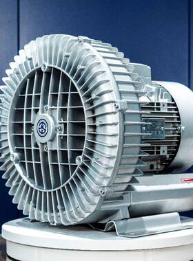 WVC高压气泵浙江厂直家销涡德国漩气泵高高压风温机厂家