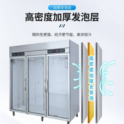 挂肉柜商用立式牛羊肉冷藏展示柜熟成柜单双门鲜肉排酸冰柜