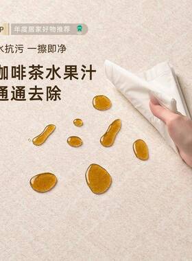 地毯客垫水厅防防污中古油风免洗可擦奶卧室地沙发茶fyr16425几高