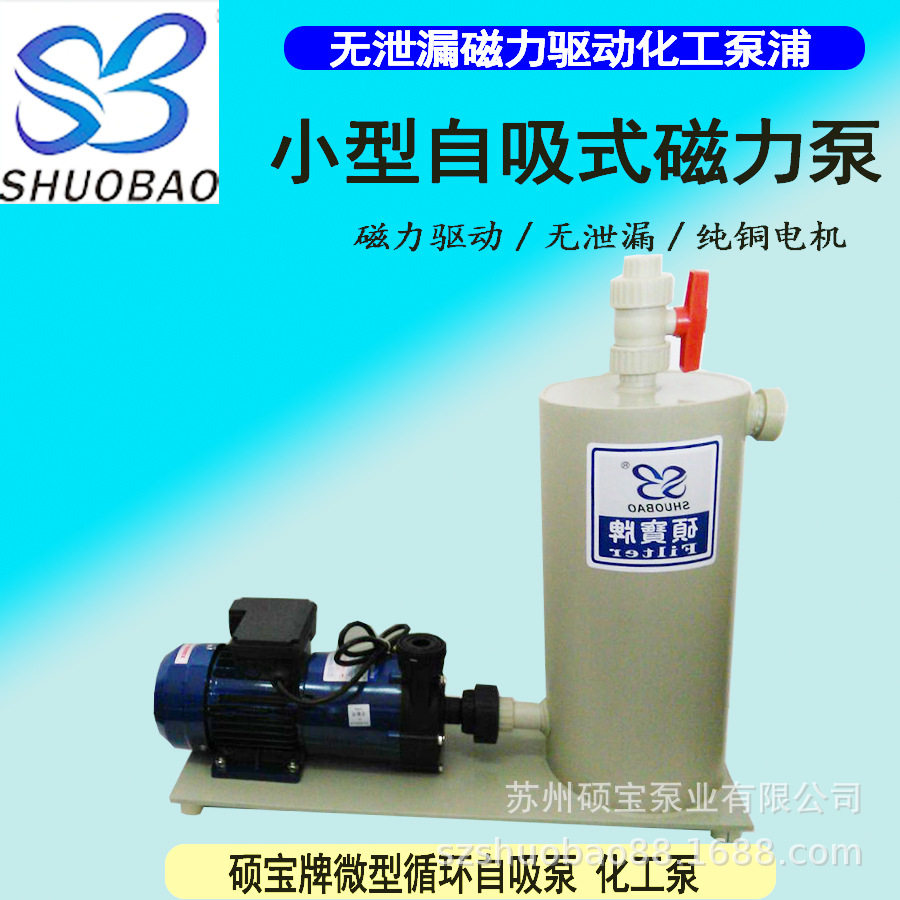 微型自吸磁力泵220V排污化工