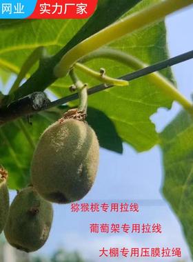 猕桃拉线葡萄架钢丝拉线/包塑HAM钢线殖/猴大棚压膜/养设备通风/