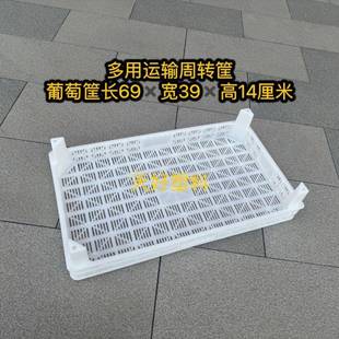 塑莓厚7葡萄筐人料盘子长方形收无品牌/藏多草筐运输周加转筐400