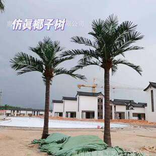 大型玻璃钢椰子树热带仿真椰子树海南椰广场公园落地大椰子树摆件