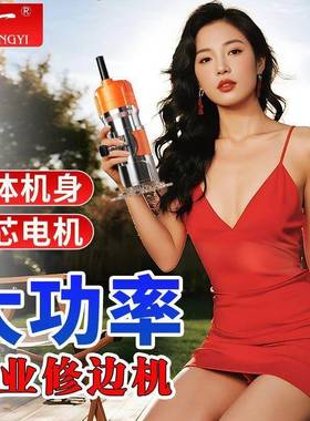 美国木工修机边机多功能铣开槽神器FYB开槽机木功率开大槽小锣机