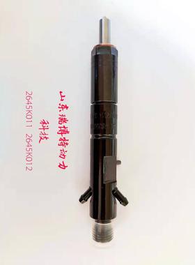 26450222645K02帕1金斯104C德尔福油嘴1喷油器总成K真96363正厂家