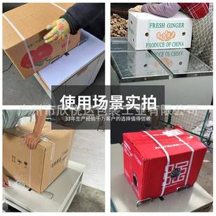 半自动机用通用打包全新料544打包带pp打带包手工热熔带包打带