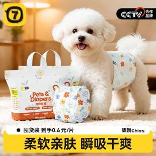 狗狗尿不湿公狗专用纸尿裤母狗生理裤姨妈裤拉拉裤小狗可排泄尿布