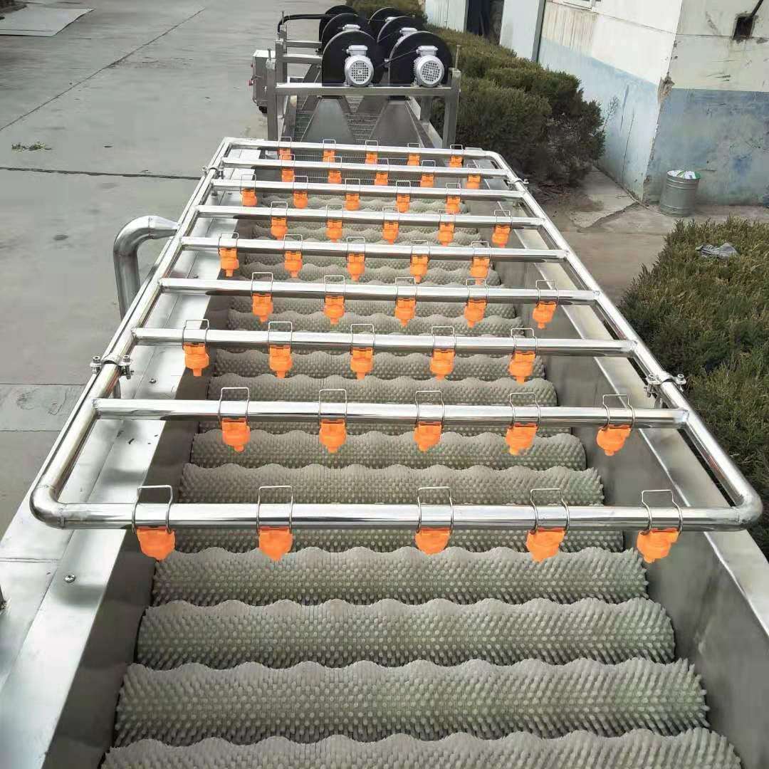 大型毛辊清洗设备橙子柚子软毛刷刷皮设备毛刷清洗流水线机器