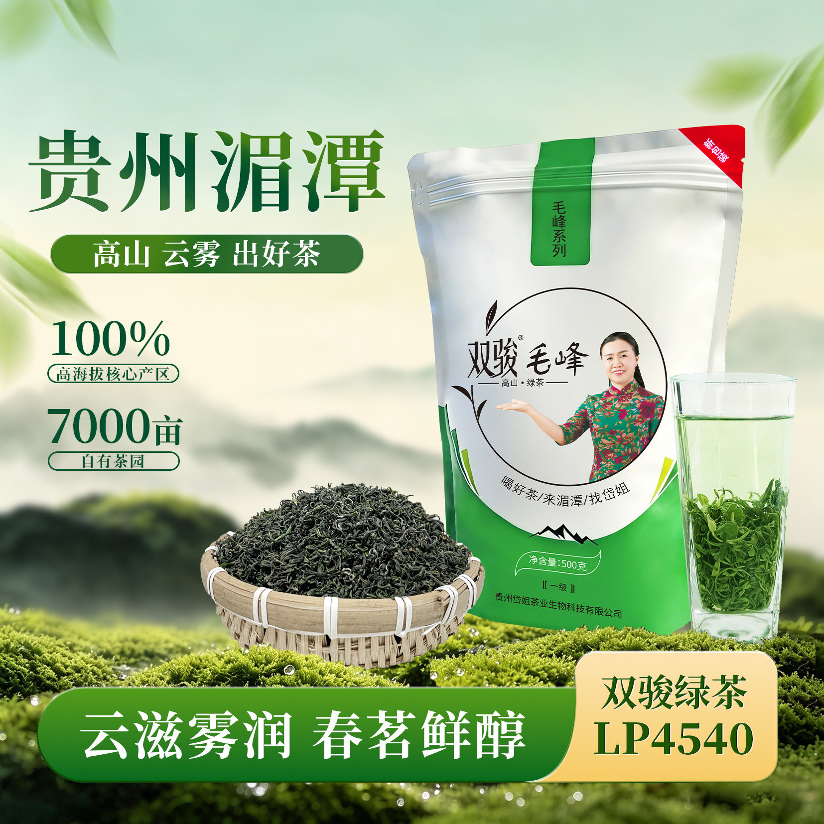 【LP4540】贵州遵义湄潭高山云雾毛峰绿茶500克