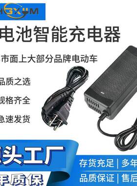12V24V36V4V电电池充电器8WDS铅酸磷酸铁锂锂充电器电动车充器120