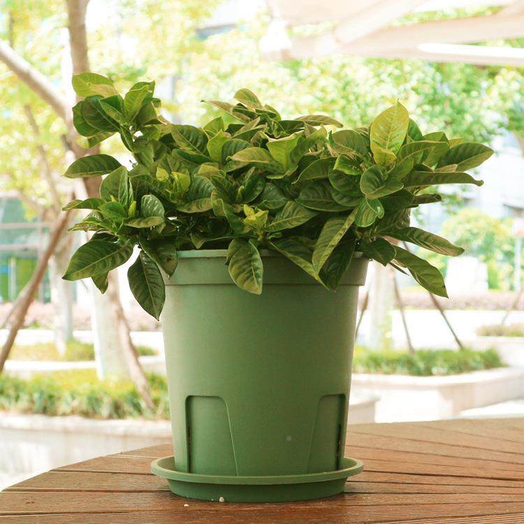 P国产圆形根青山盆控根盆不烂月季盆P树塑料花盆脂花盆植种绿植花,家居饰品,花盆,淘宝优惠券,粉丝福利购,淘宝优惠卷