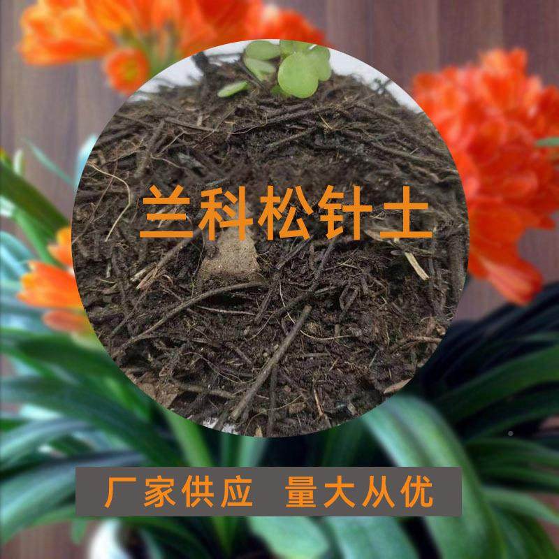 货供应腐殖SZT001-1土现营养土针兰花松土轻型腐叶有机蔬菜种植土