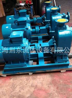 25YZ-FPBA-C32型自高吸泵ZX压扬程卧式高清水自吸泵无密封自吸泵