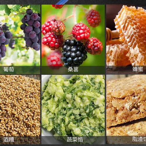 不锈钢压榨机商用蜂蜜酒糟压汁机菜馅挤水器家用压猪油渣机榨油机
