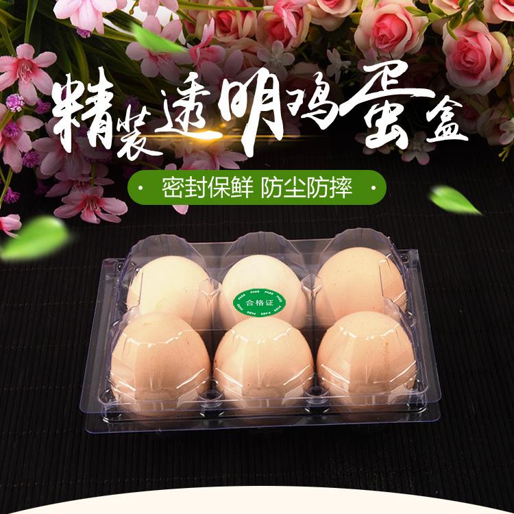 枚装中号透KVV明6鸡蛋盒蛋托塑吸塑浙江厂家直销现盒货料包邮