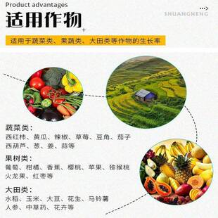 厂家供应农林业枯枯草芽孢CCM菌改良土壤农用地草芽杆孢杆业菌