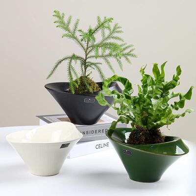 北简约陶欧瓷花感盆高级创意不规则绿662萝培植物盆苔藓球专用水