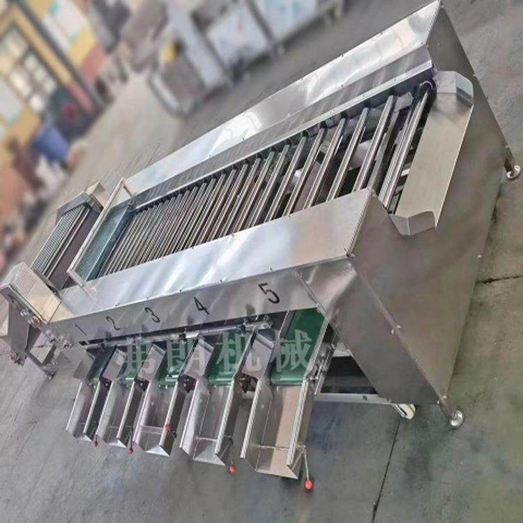 田螺分选机 小龙虾分级机 不锈钢滚杠式分级机 果蔬大小分选机,清洗/食品/商业设备,果蔬加工设备,淘宝优惠券,粉丝福利购,淘宝优惠卷