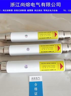 高压熔断器XRNT-10KV/10A20A31.5A40A高分段能力限流管耐压