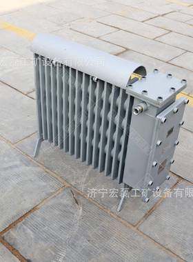 矿用井下电热取暖器煤矿避难硐室用隔爆电暖器RB2000/127电热油汀