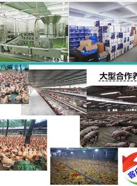 阿奇阿霉素阿奇霉素83905-15现0货含量98%-奇霉素