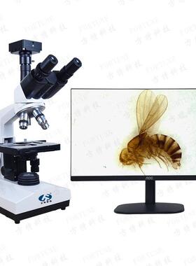 细胞菌细检测水产畜牧养殖医院AYV40目-160微0倍可拍照三生物显镜