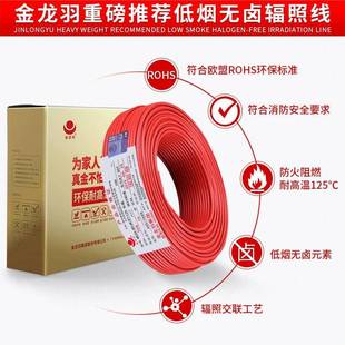B无YJ 3054 2级.5 6平方软 1R.5 金龙羽真金线低烟卤阻燃AWDZA
