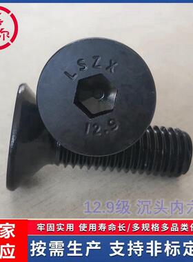 12.IJT9级沉内六角螺丝钉DIN7头991高强度平杯栓M6M螺M10xM14m280