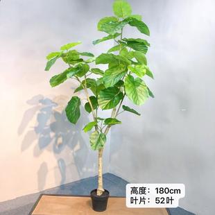 仿真绿植爱心榕心叶榕植物造景室内景观橱窗