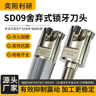 SD09锁牙式铣刀头分体螺纹刀头数控抗震刀杆可换头SDMT09T307-SM