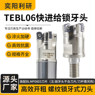 TEBL快进给小径锁牙头钨钢刀杆可换式铣刀头钨钢抗震BLMP0402-ER