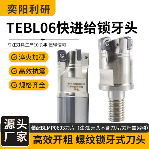 TEBL快进给小径锁牙头