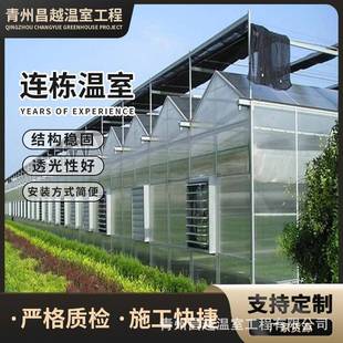 薄膜连体蔬菜大棚建设玻璃连栋大棚骨架智能大棚立体种植系统