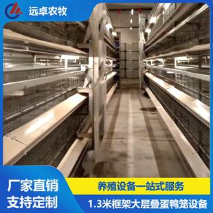 H型框架立体蛋鸭养殖 贵州三穗五列四层叠蛋鸡养殖场设备自动捡蛋