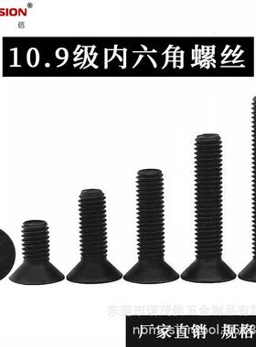 10.9级公制沉头内六角平头内六角黑色螺栓DIN7991M8M10M12M16M20