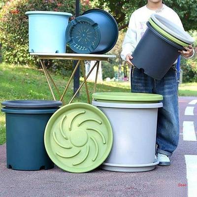 特尾大15加仑盆家用散葵料绣球月123458kk季控根塑树号脂果树大花