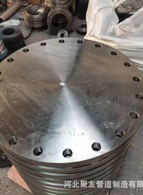 不锈钢通316L盲板P16兰法盖突面FIV碳钢8字封盖N盲密封RJ面堵头30