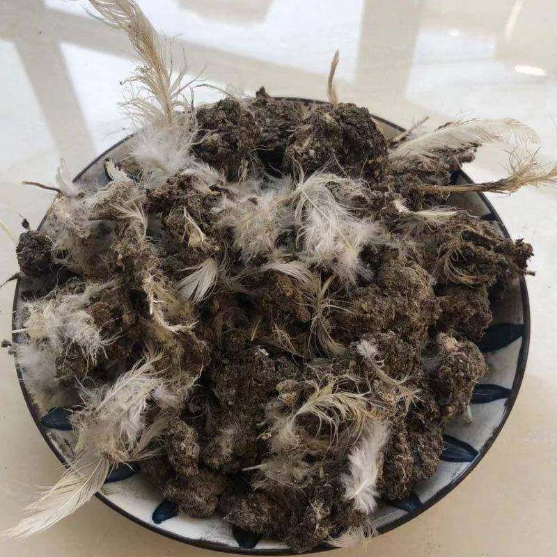 VOX然纯干鸡粪晒干干鸡粪块烘干风鸡粪有机料花卉蔬果鸡肥粪有机,农用物资,有机肥,淘宝优惠券,粉丝福利购,淘宝优惠卷