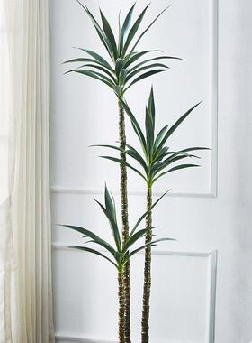 欧式风仿真植客厅大型仿真盆栽室造景北树欧仿真内物绿植剑麻jw09