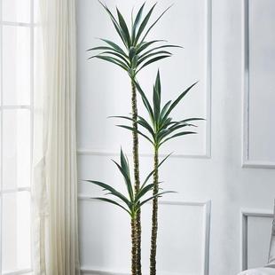 欧式 风仿真植客厅大型仿真盆栽室造景北树欧仿真内物绿植剑麻jw09