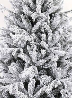 LS23005-圣诞节白色植绒树2.装4m冬季松落仿真雪圣诞树节日饰场景