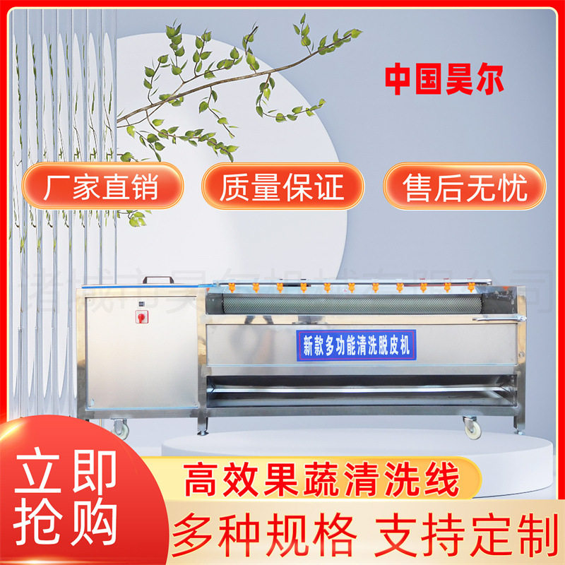 龙眼果蔬连续式清洗线 海带丝高压清洗流水线 果蔬喷淋气泡清洗机