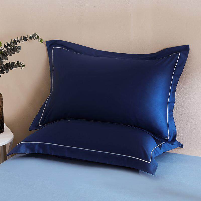 芯新款EPP高档纯棉单人枕全套一对装头轻奢风纯色酒店家用棉枕套