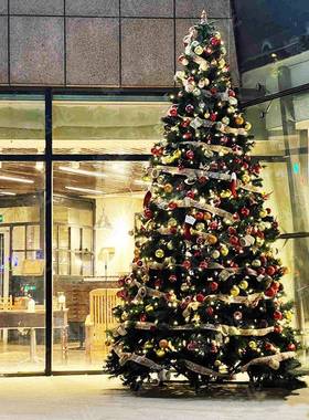 室内派小型圣诞树对庆典别PVC绿色挂枝诞q2023120树墅庭院仿真雪