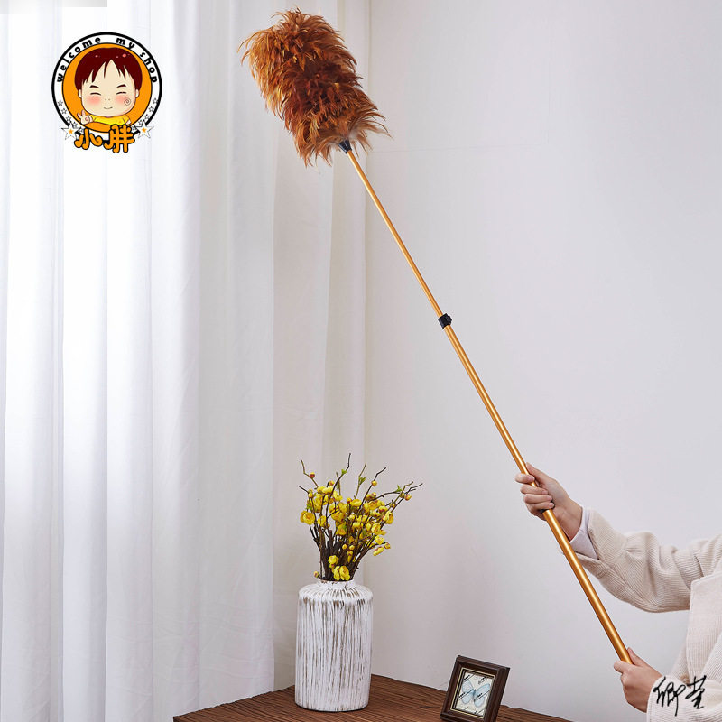 天花板衣柜蜘蛛网伸缩除尘掸