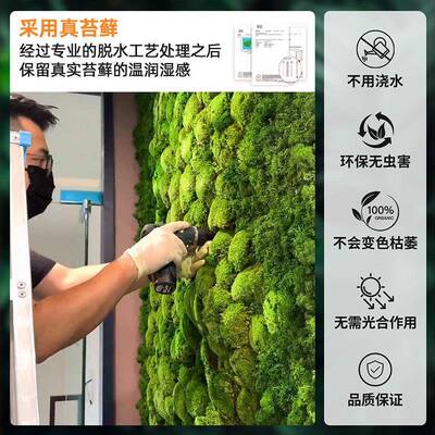 阻燃永生驯鹿藓苔藓植室物墙造干苔藓苔藓墙内装饰假绿植仿真苔人