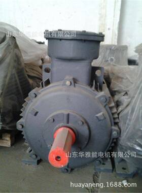 YBF3-112M-4-4KW电机替代曲阜金升YBF3电机防凝露装置加热器防潮